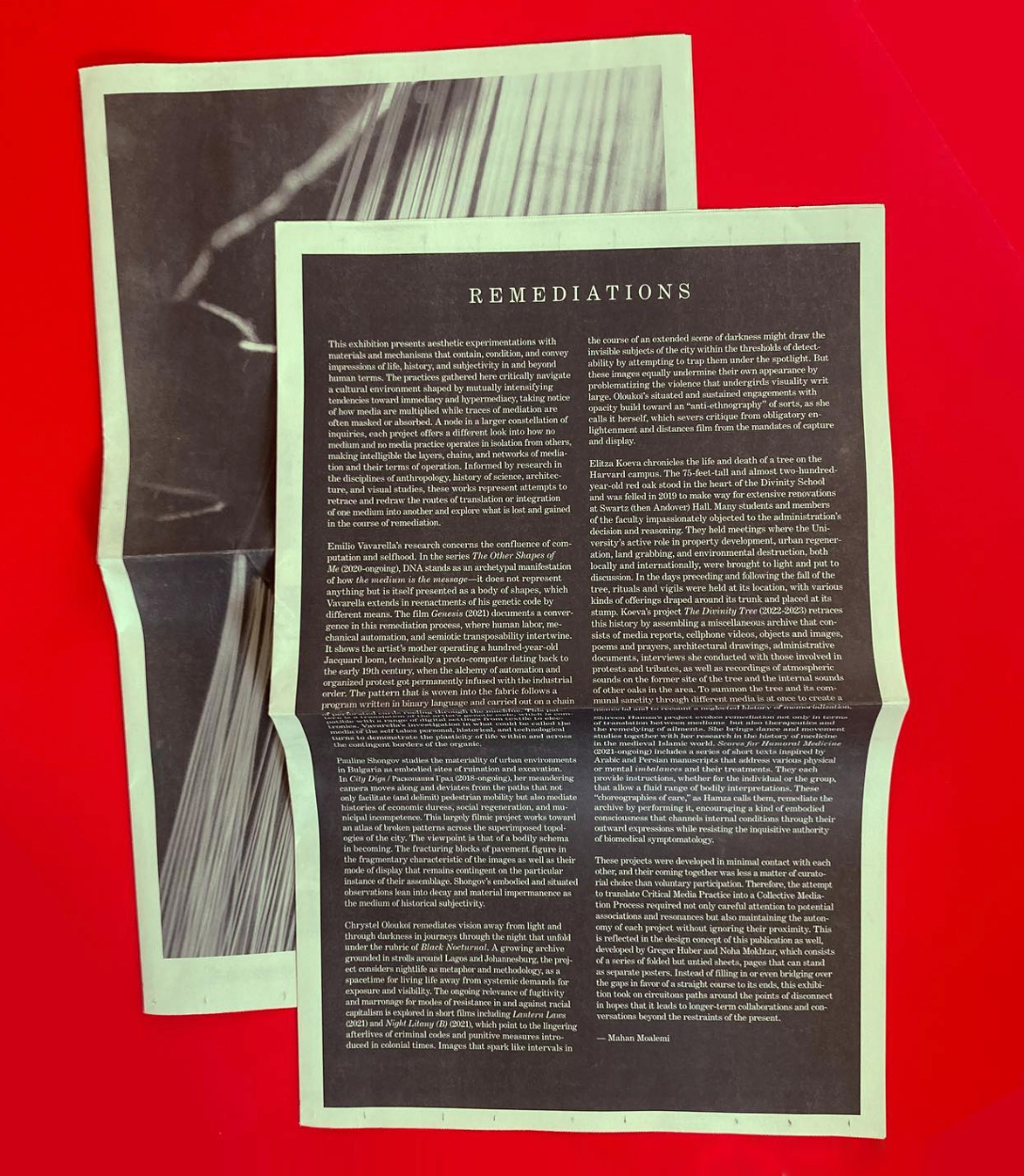 REMEDIATIONS: Shireen Hamza, Elitza Koeva, Chrystel Oloukoï, Pauline Shongov, and Emilio Vavarella